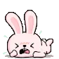 bun_tantrum