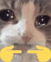 sadpleasecat
