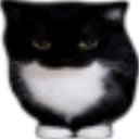 catto