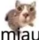 miau