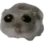 homa