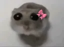 imjustagirl imjustagirl
