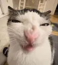 crunch