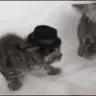 slapofdeath slapofdeath