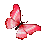 1163850215472771153