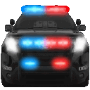 2921police