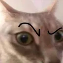 eyebrow_raise