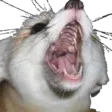 FennecScreamR