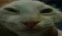 unxdd