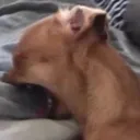 iwannakms