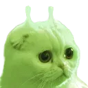 glorpconcerned glorpconcerned