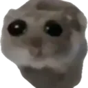 sadham sadham