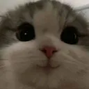 photo_20240509_124329