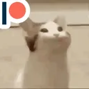 CATTO_NOM