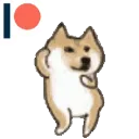 doggoo