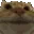 NoCat