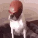 howyoufelt
