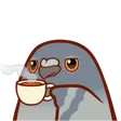 PigeonTea