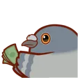 PigeonMoney