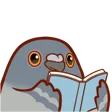PigeonRead