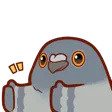 PigeonThumbsUp