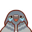 PigeonCry