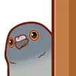 PigeonPeek