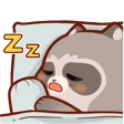 RaccoonSleep