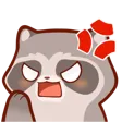 RaccoonAngry