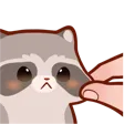 RaccoonPinch