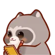RaccoonNotes
