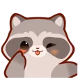 RaccoonPose