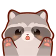 RaccoonRawr
