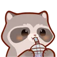 RaccoonSip