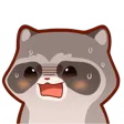 RaccoonHuh