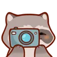 RaccoonSnap