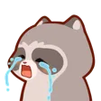 RaccoonSob