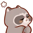 RaccoonHmph