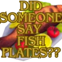 fishplate