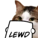 Catto_Lewd
