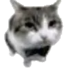 catGentle