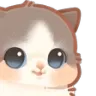 cat_hehe