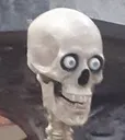 boner