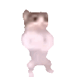 Cat Pls CatPls Discord Emoji