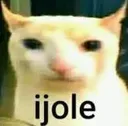 GatoIjole GatoIjole