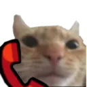 mewcall