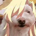voidjae