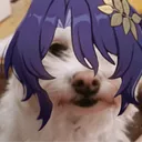 ratiojae