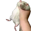 grab