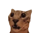 huh